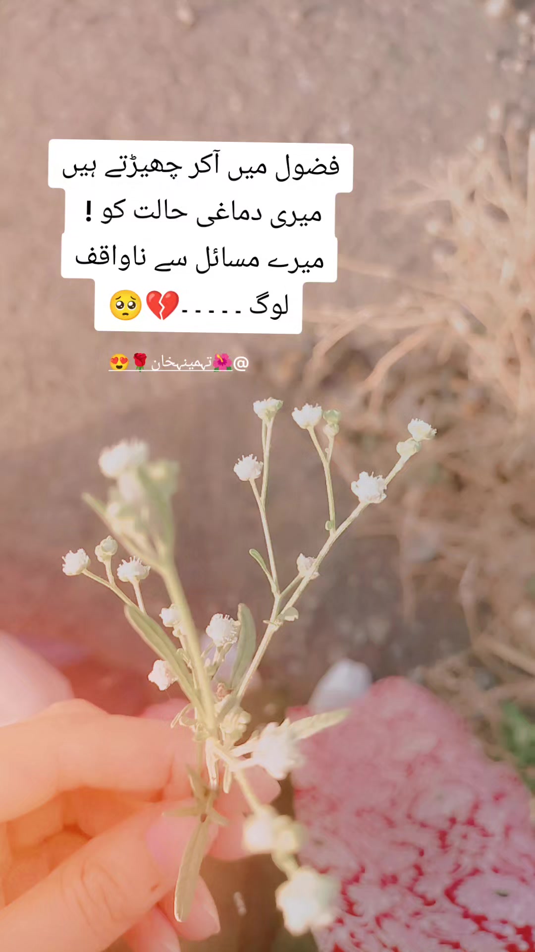 @🌺تہمینہ خان🌹😍
