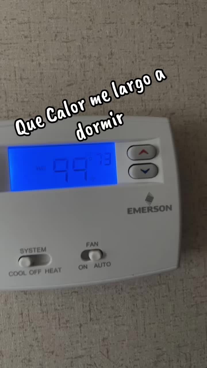 @🧏♀️ Bel🧏♀️