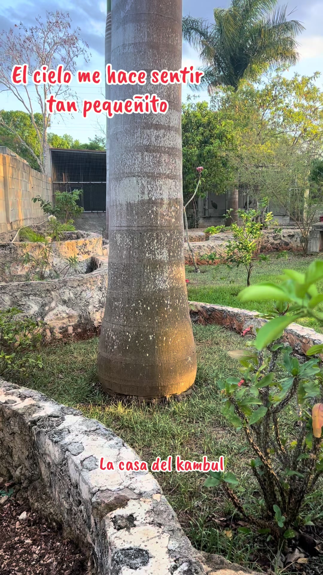 @La Casa Del Kambul