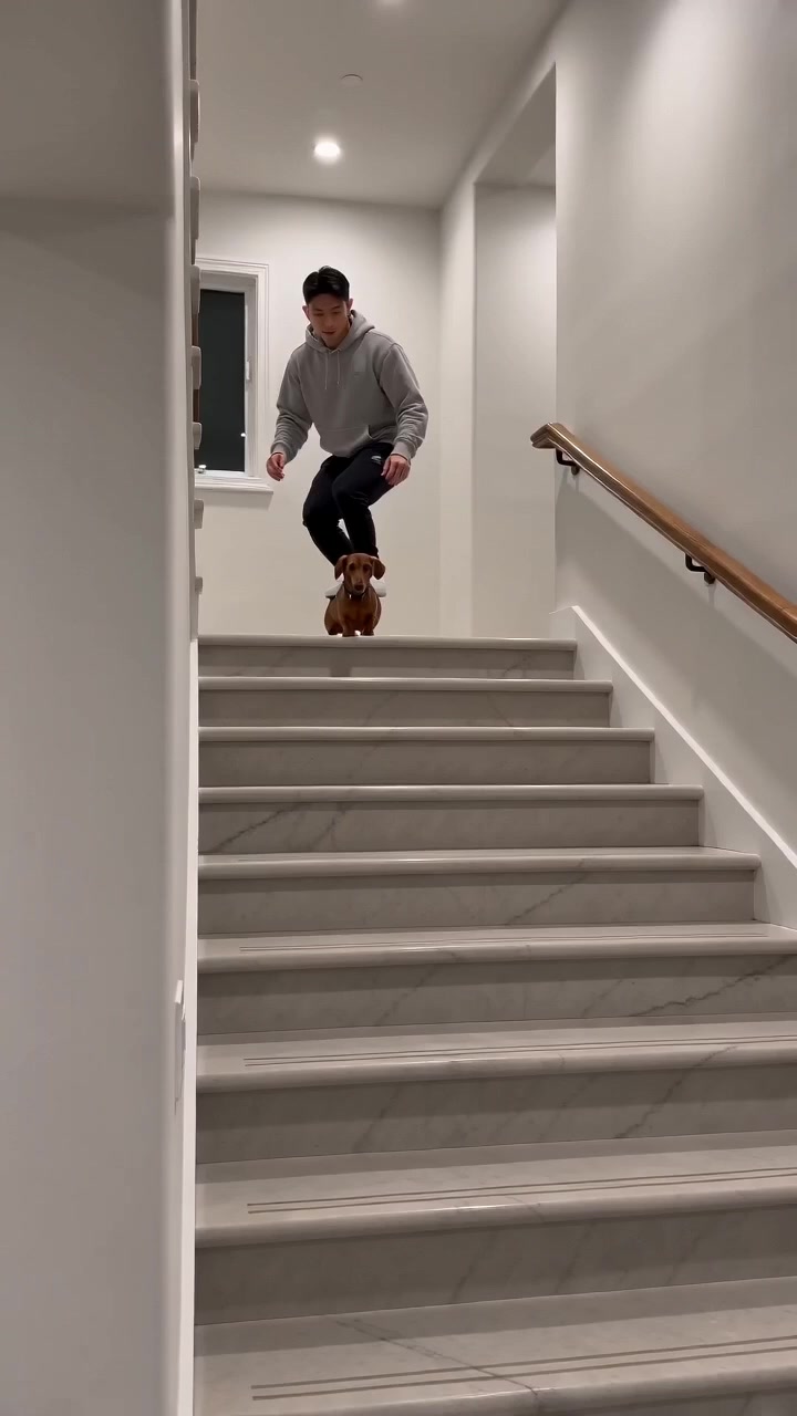 @hansonlee101