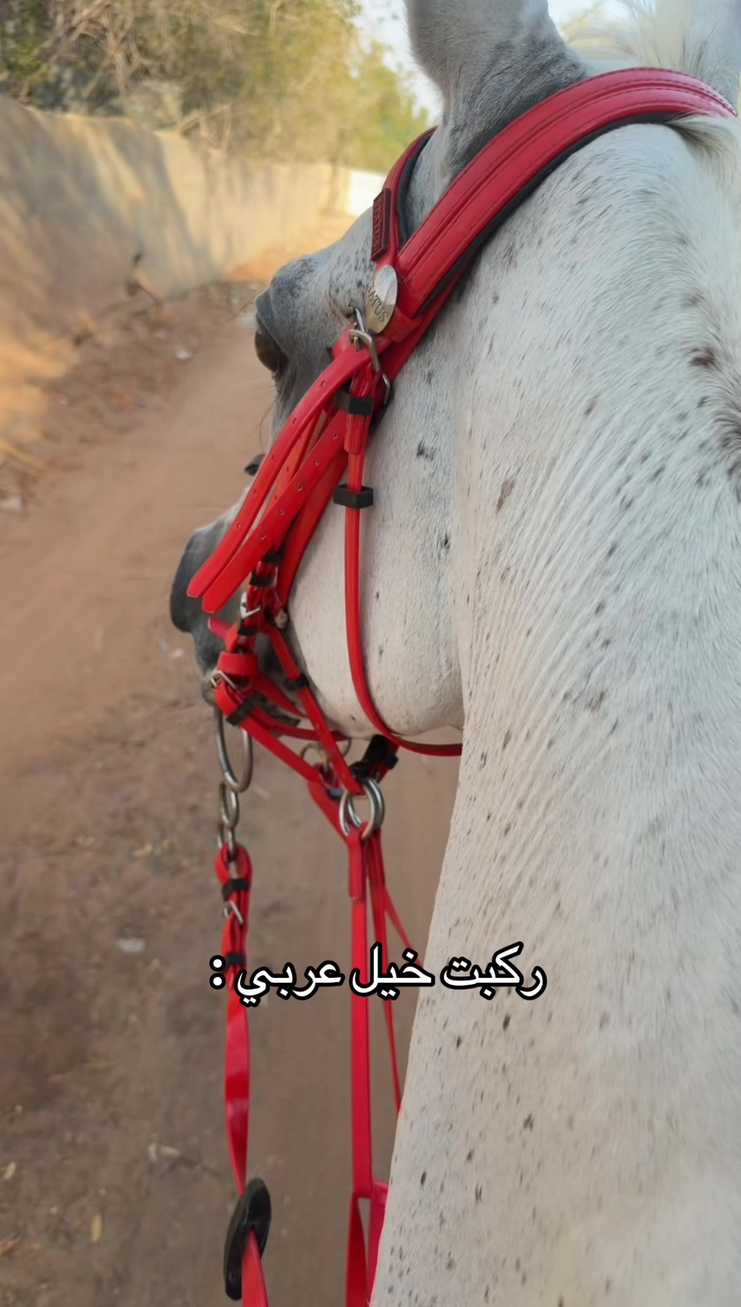 @رُقية 🌟