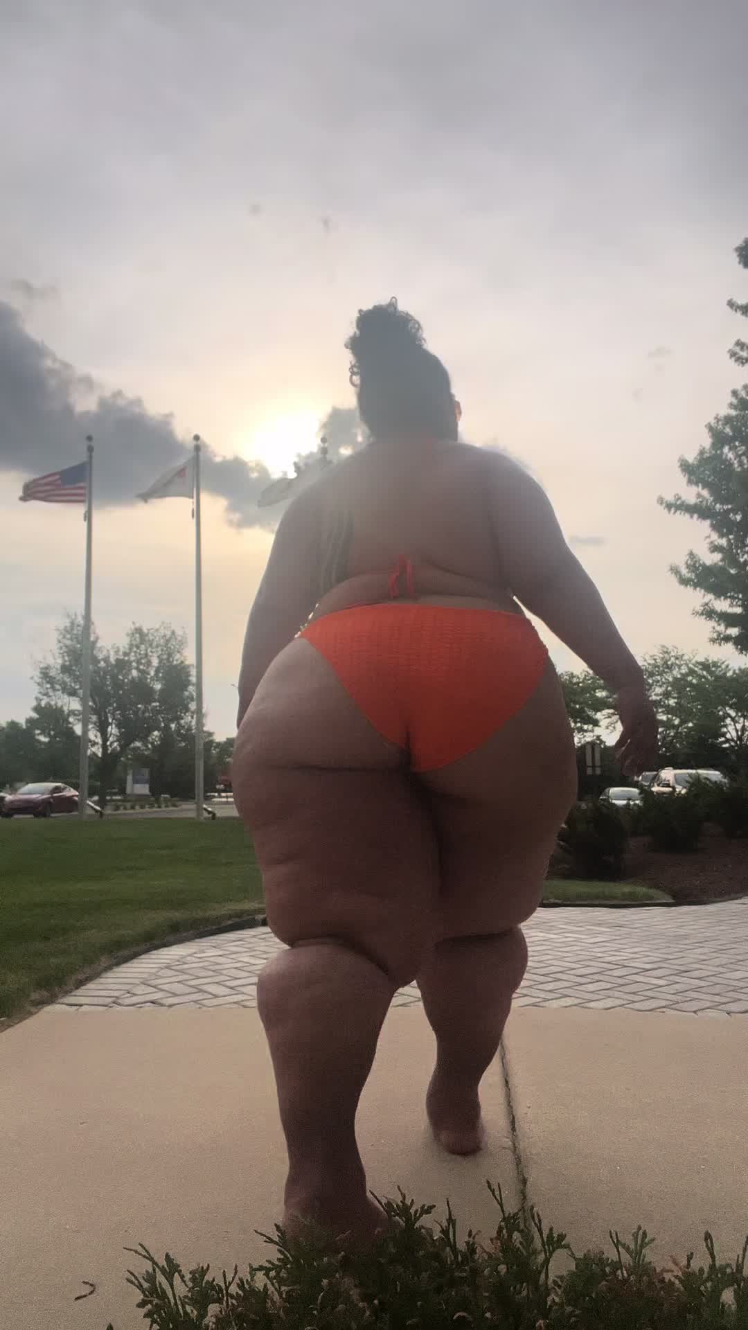 @__colossal_curvez__