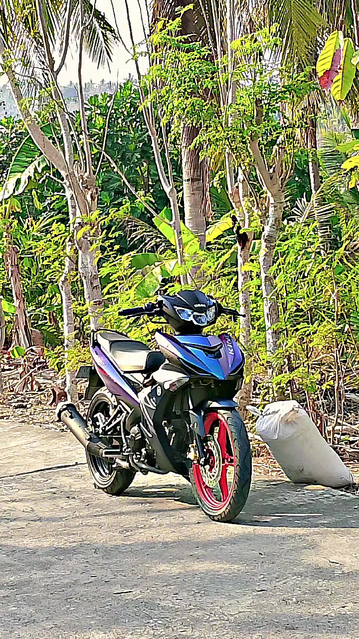 @Mx bocil🚀