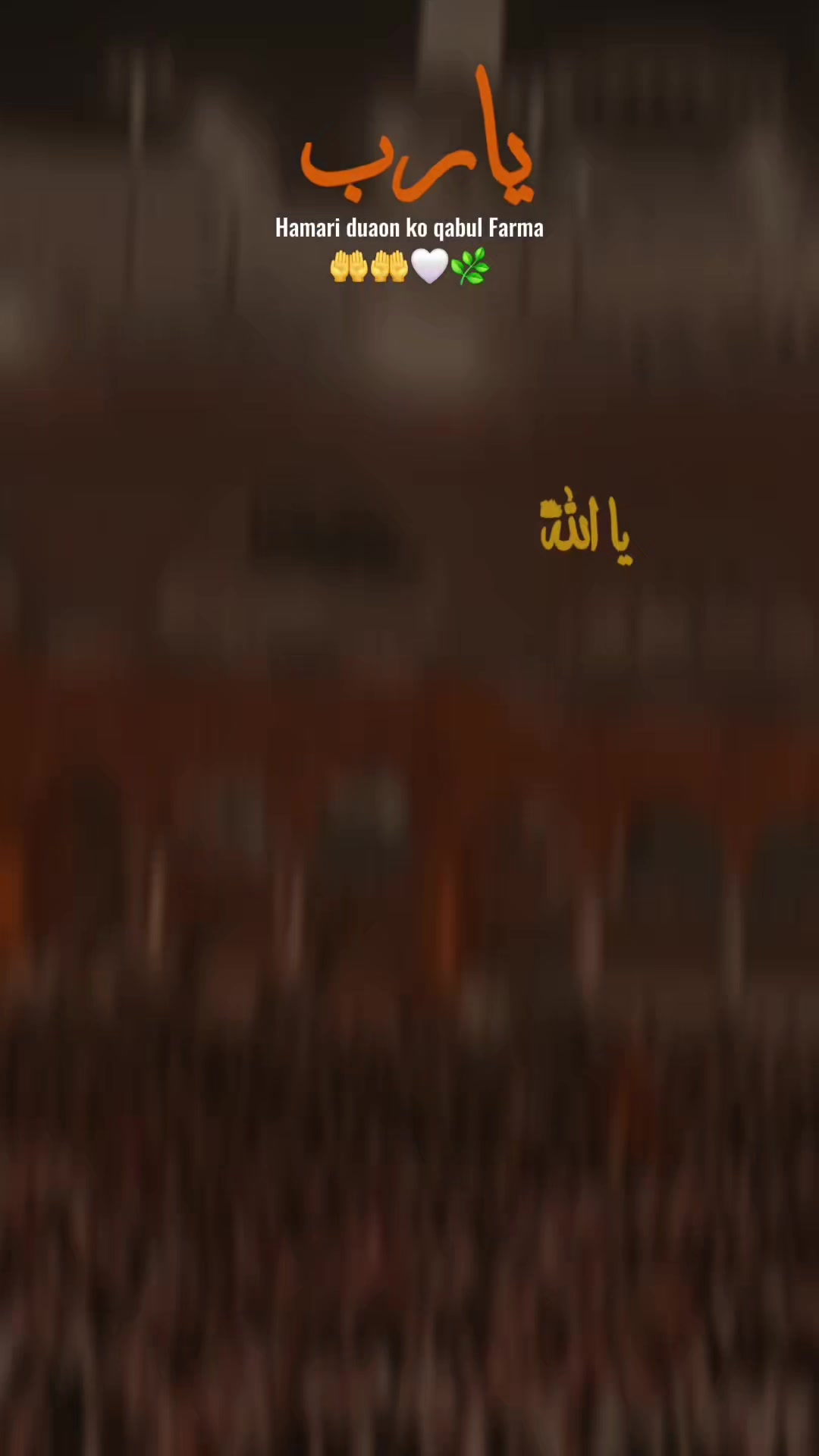 @𝙆𝙖𝙨𝙝𝙢𝙞𝙧𝙚𝙟𝙪𝙩𝙩🍁کاشر