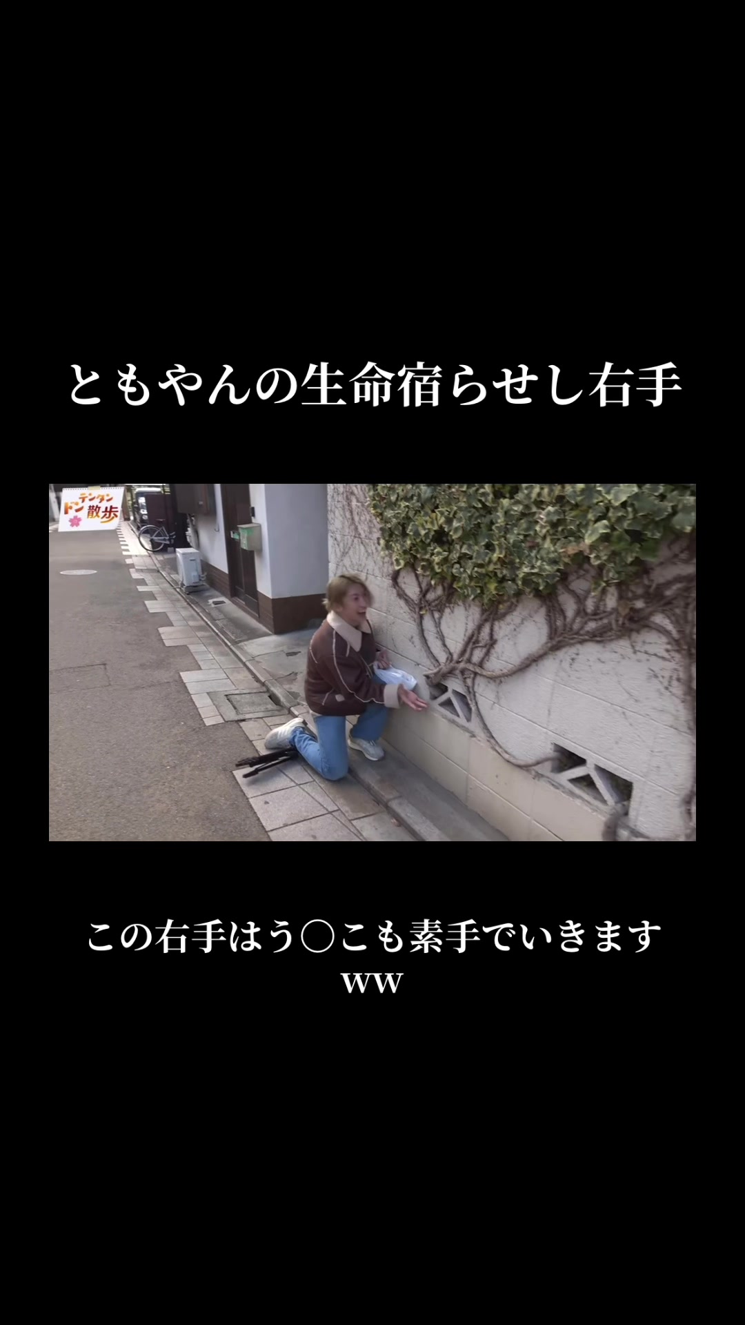 @れもんさわー