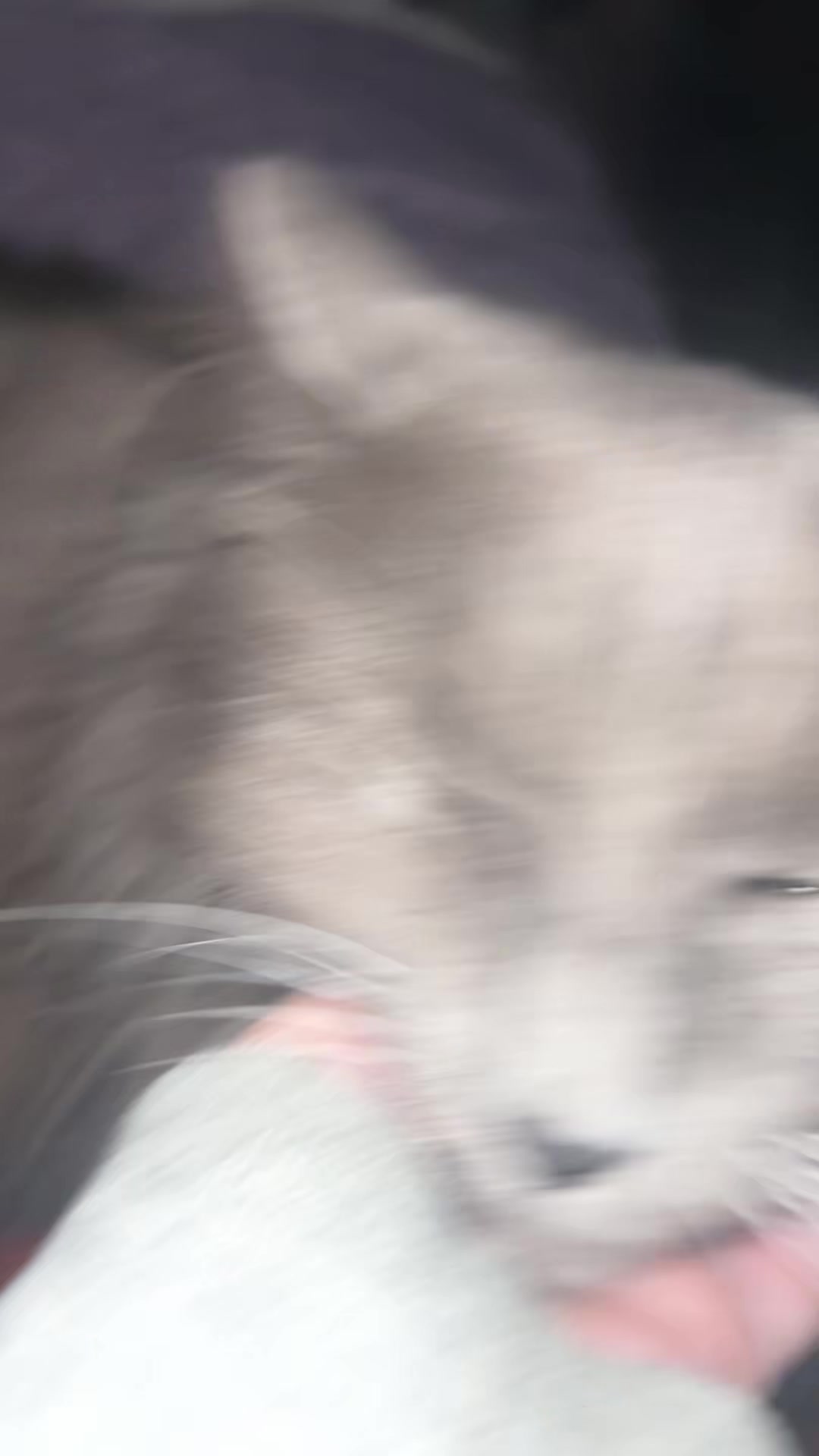 @Cin