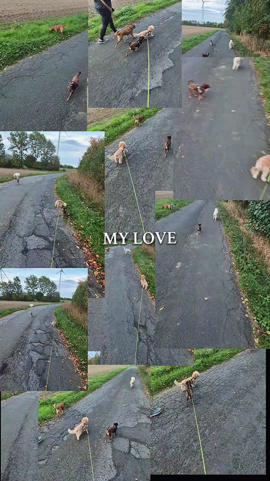 @SabrinaTeamWuffhaus🐕