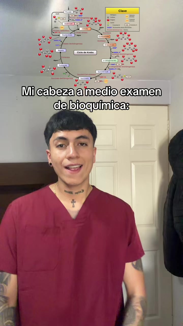 @ENDOBOY