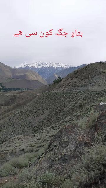 @سیدذادی