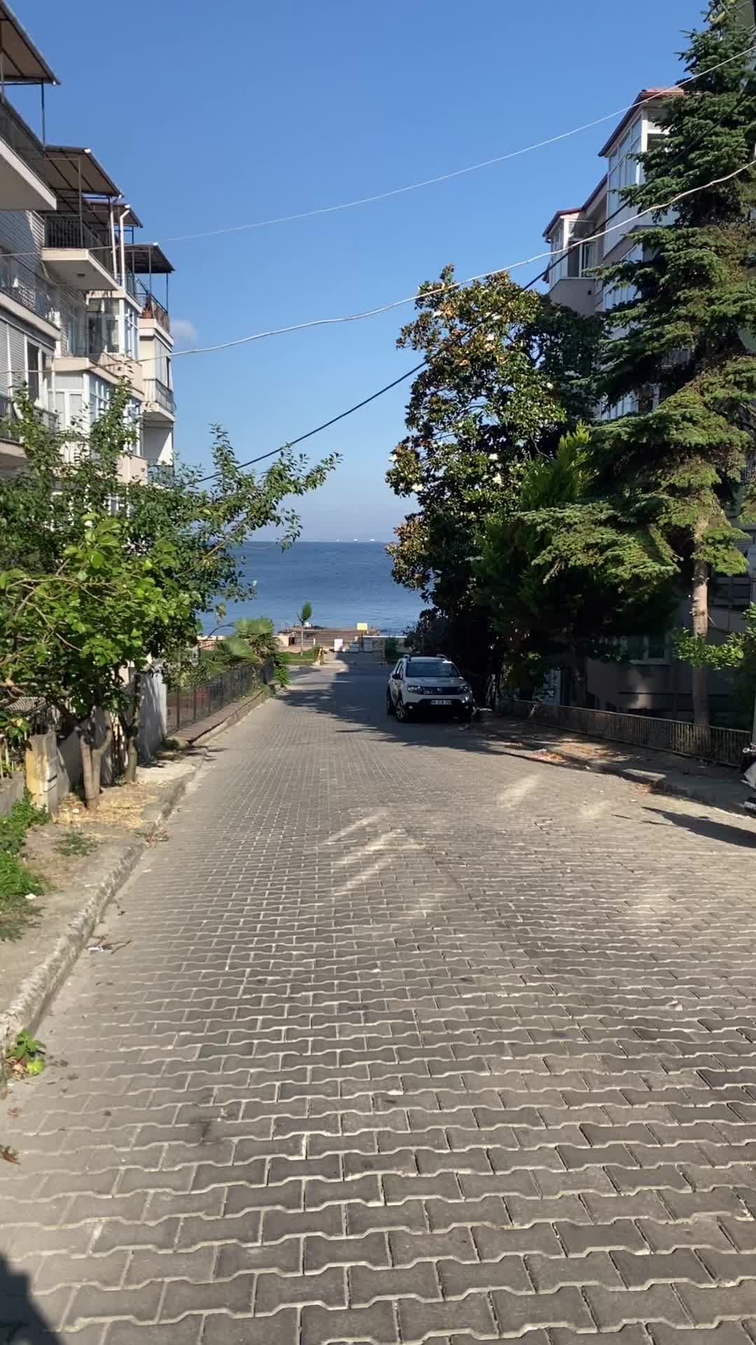 @hazretirana