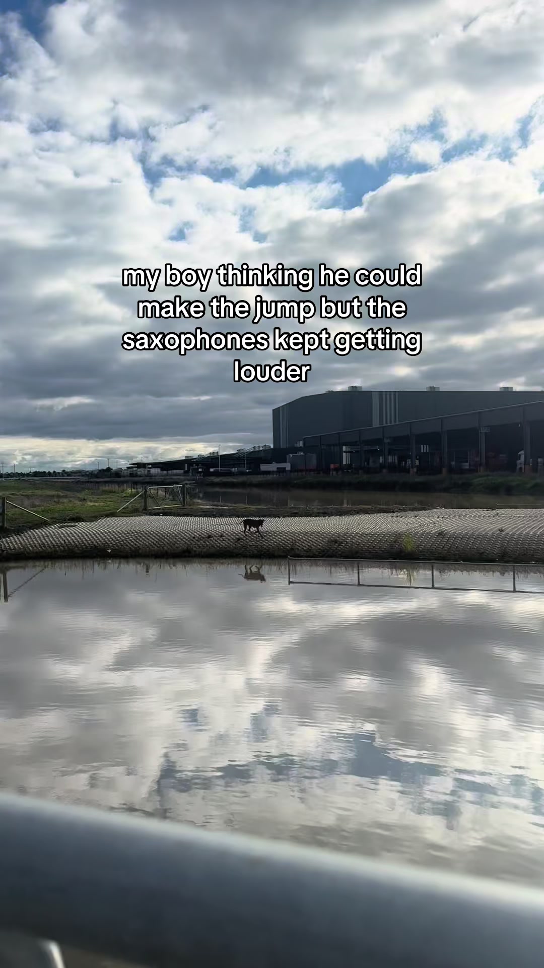 @roverfromthearea