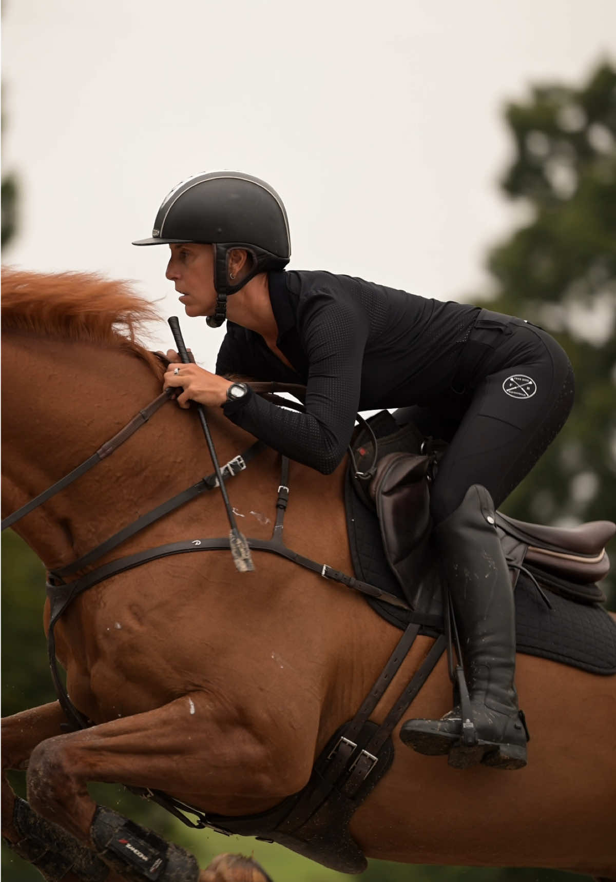 @Free Ride Equestrian