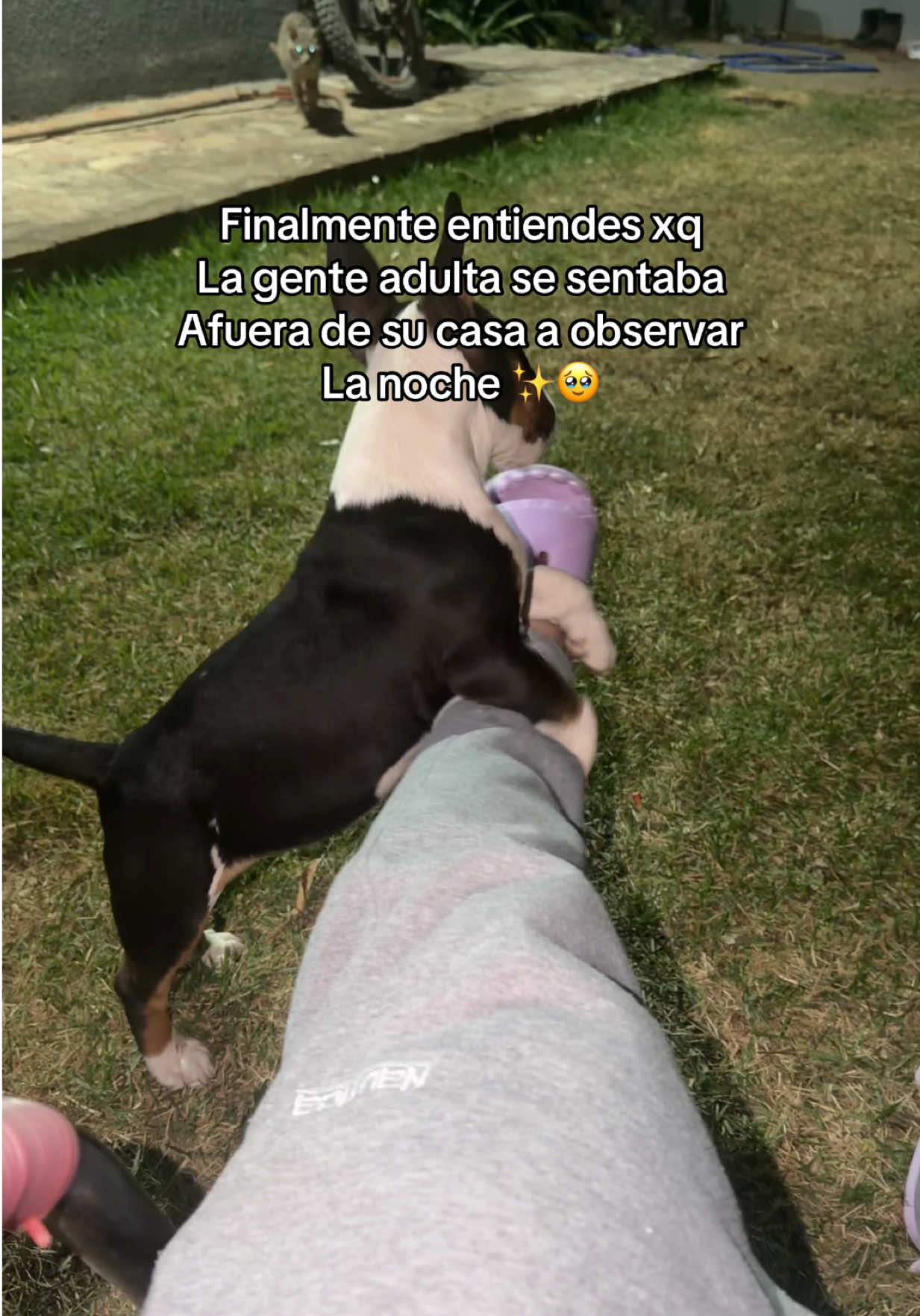 @Barbero Frank 🇧🇴