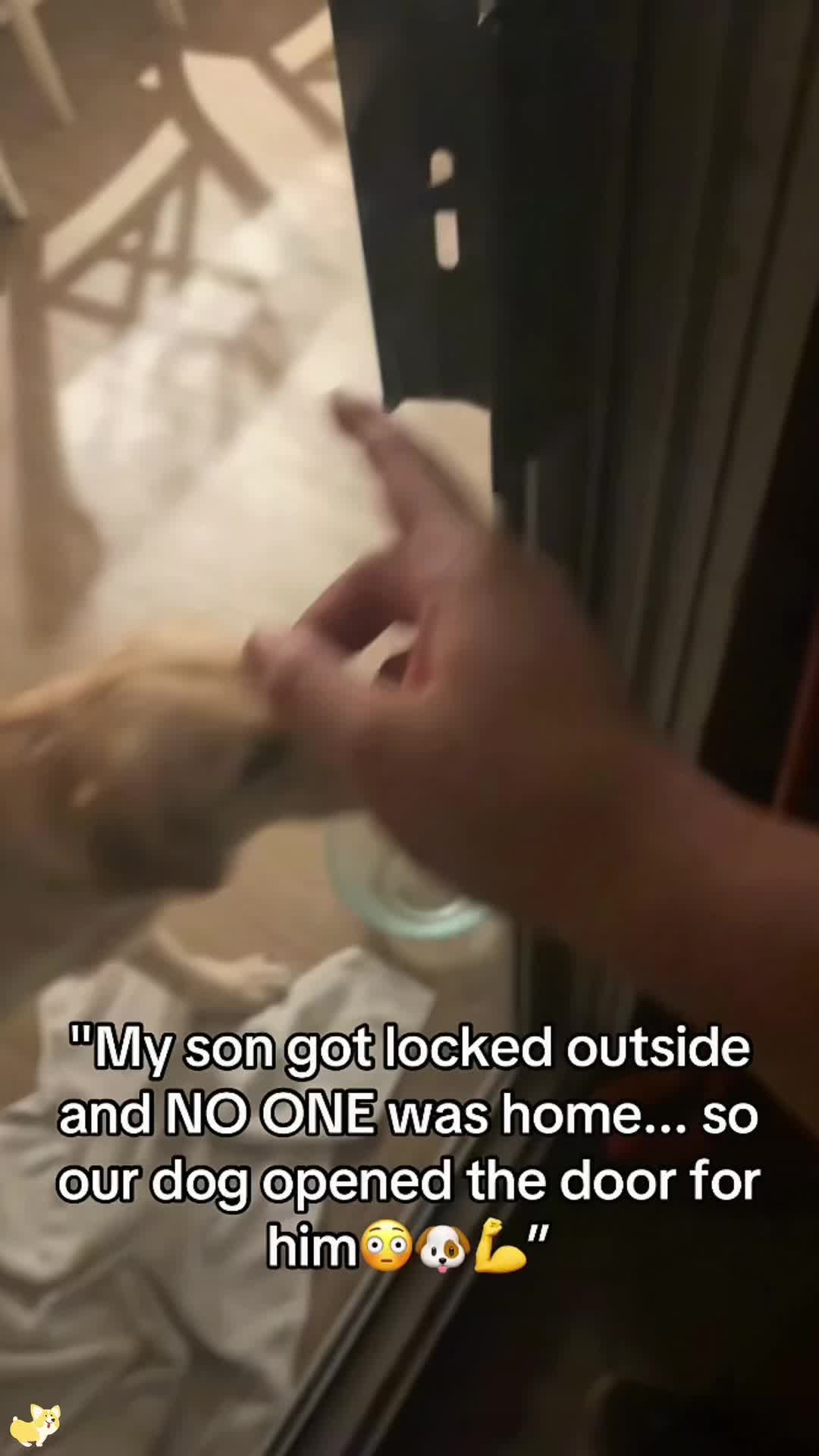 @SneakyFails