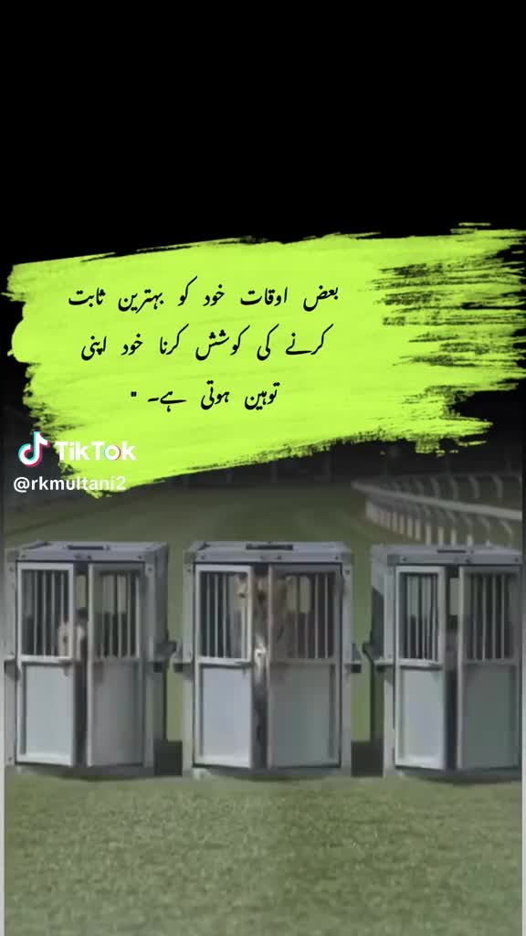 @Malik Arslan Awan