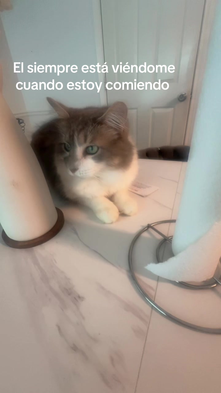 @Magdali_santana