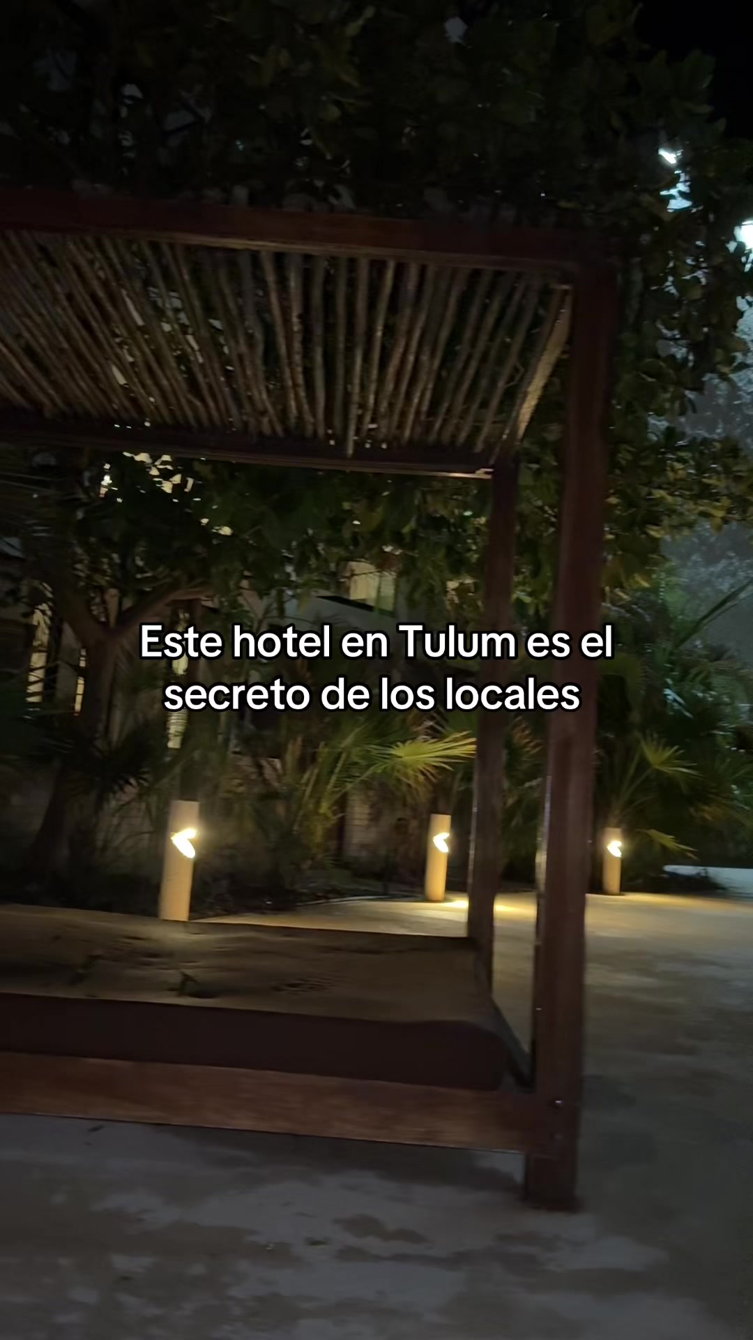 @Majo Galván 🦖