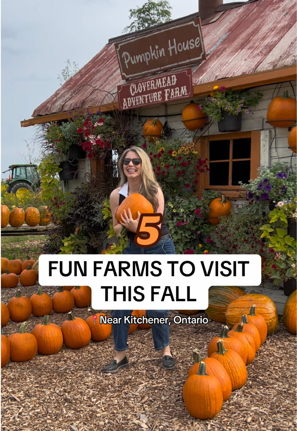 @CuratedKW | Food, Events & Fun