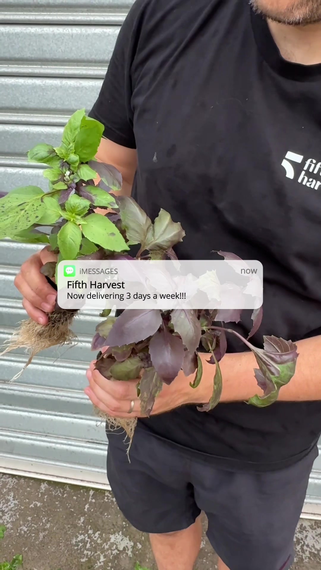 @Fifth Harvest 🌱