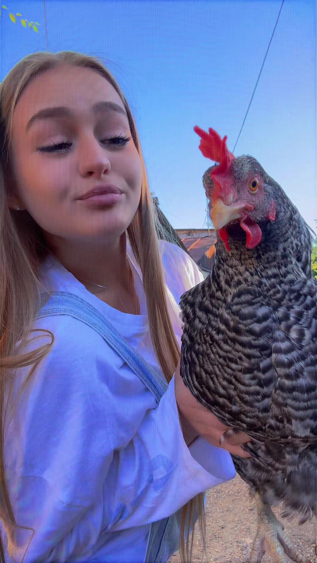 @Ana Beregoi