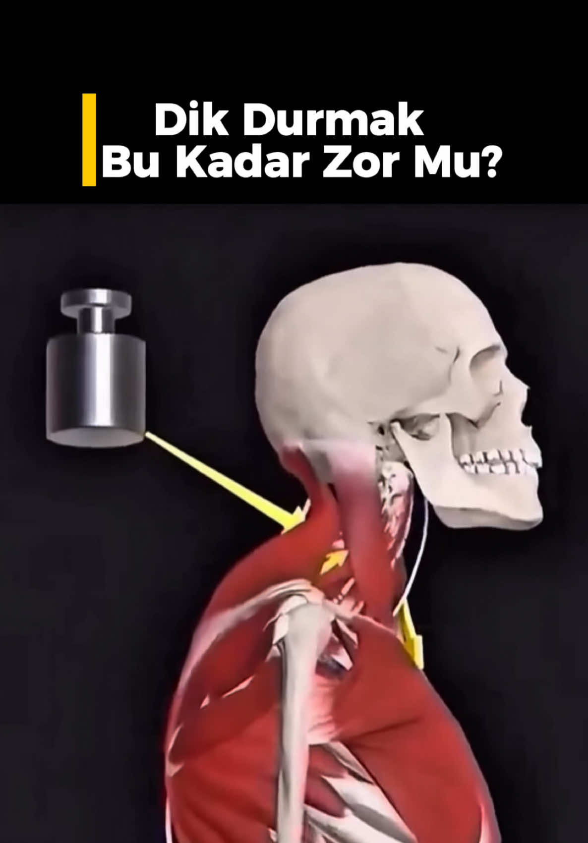 @ŞİFA TERAPİ MERKEZİ
