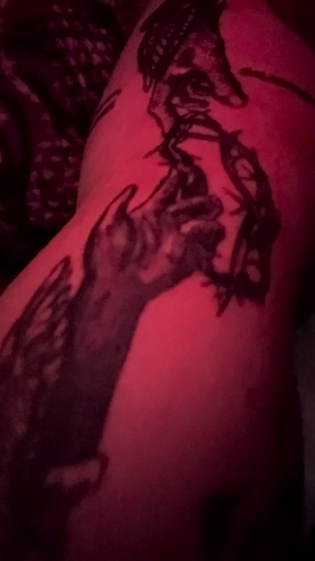 @🐆