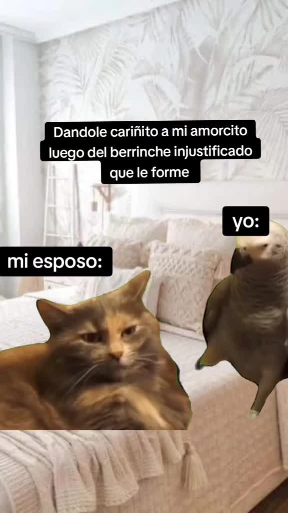 @Yois ๐ง