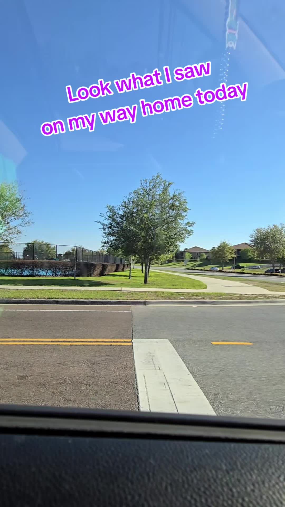 @thatsummerslife