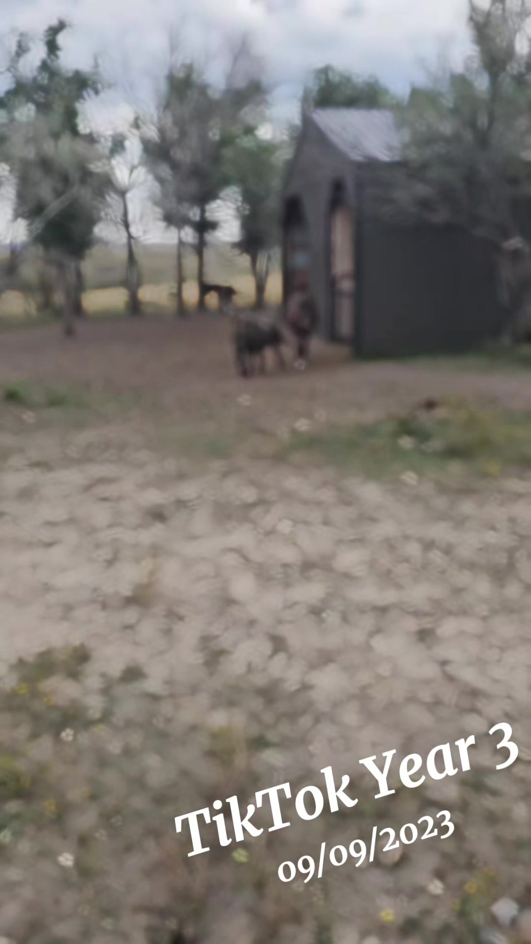 @Flint_❌ARRR Rescue Ranch