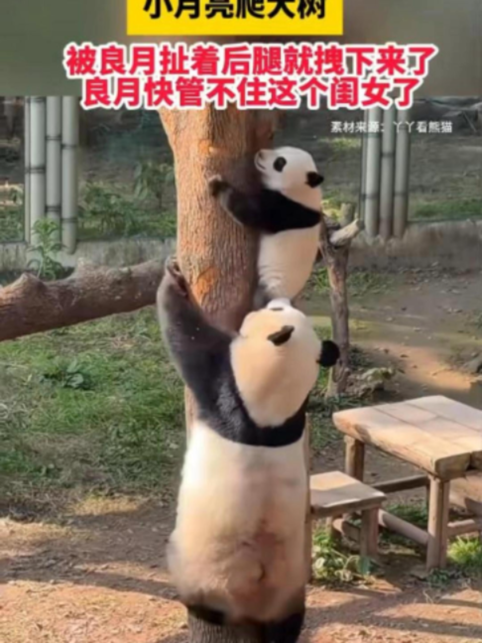 @中国蓝国际