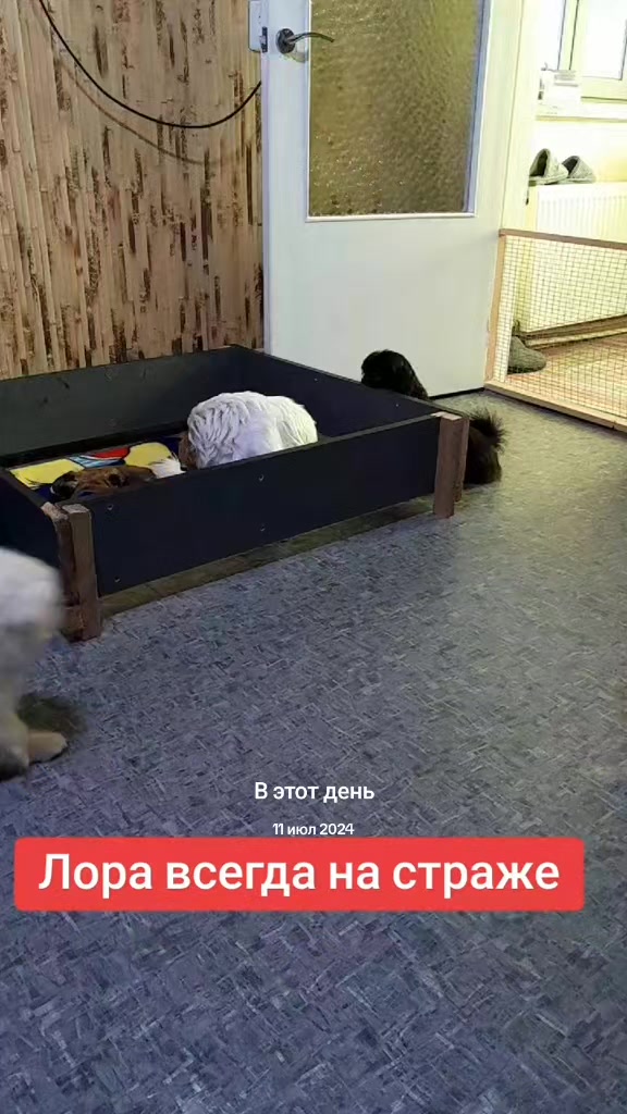 @Жужа