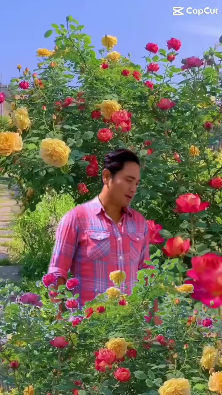 @sweetest_actor