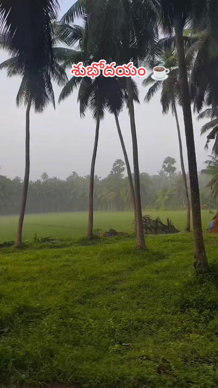 @🆁︎🅰︎🅼︎🆄︎బట్టెలంక కుర్రోడు