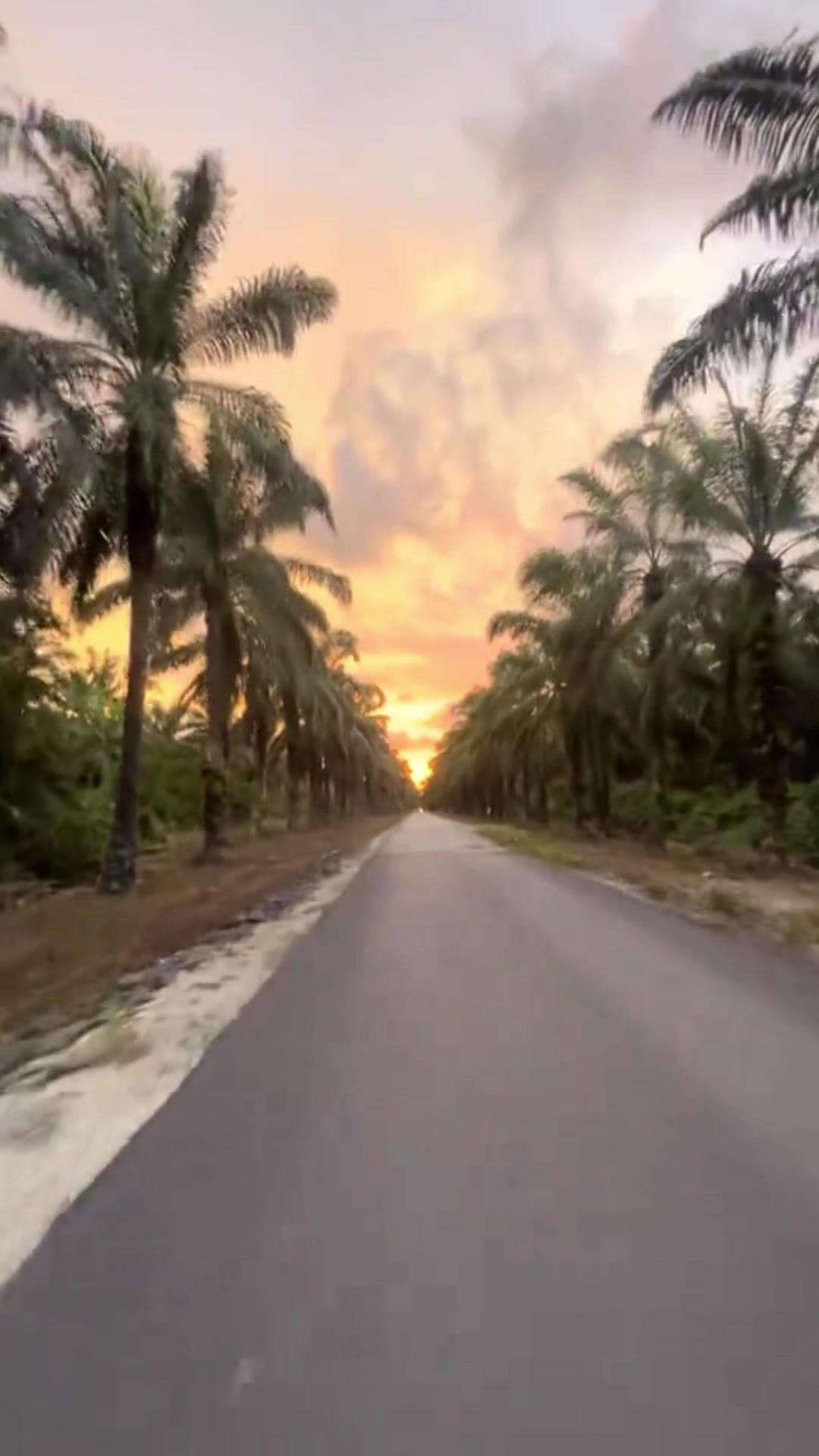@விஷ்வா @ விச்சு 18