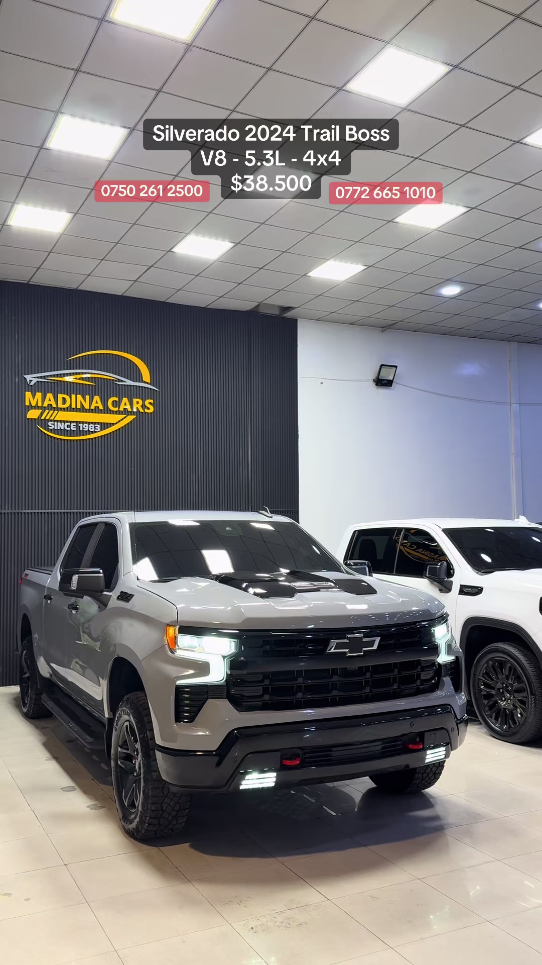 @Madina Cars