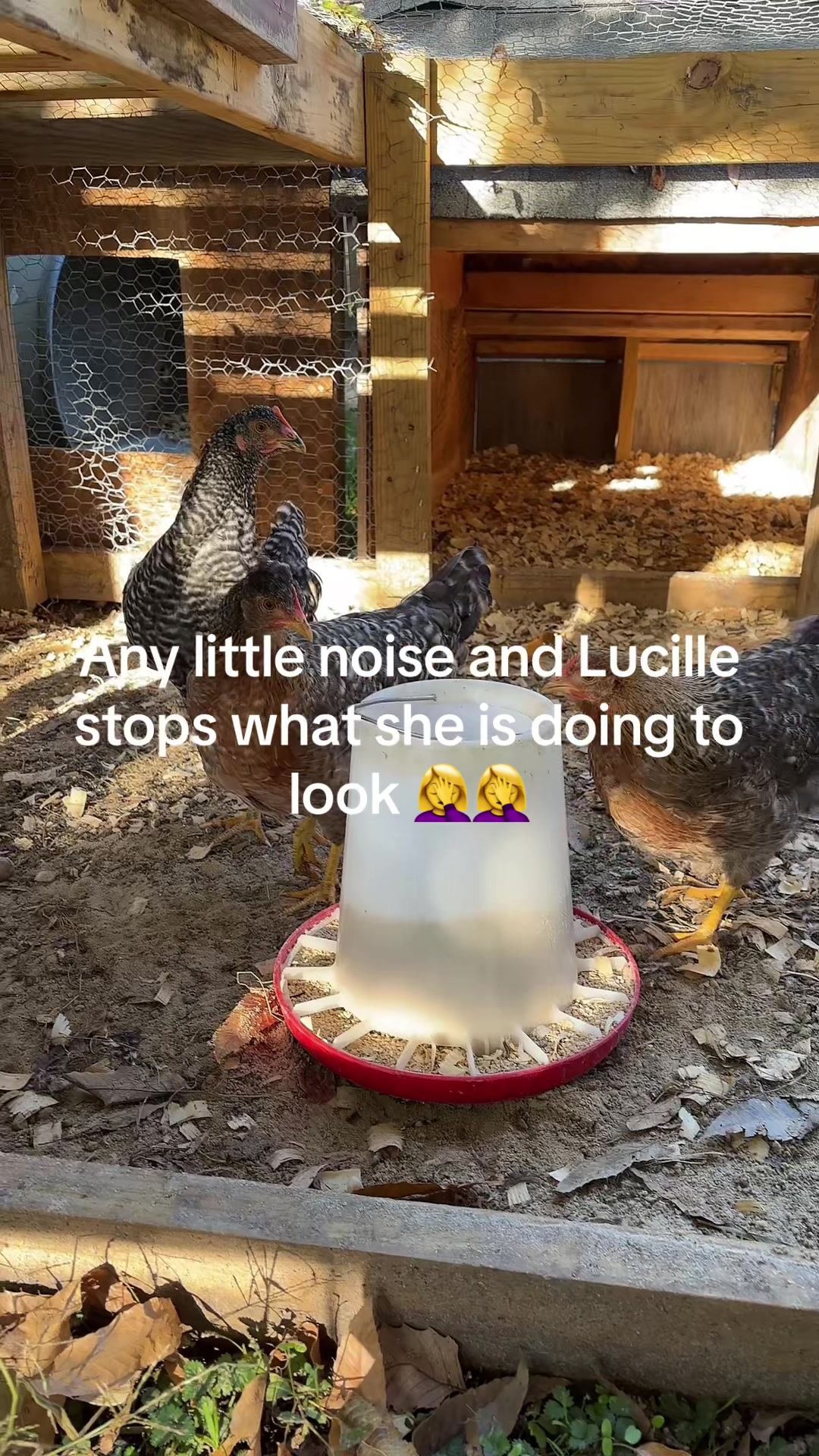 @kaylabannock__