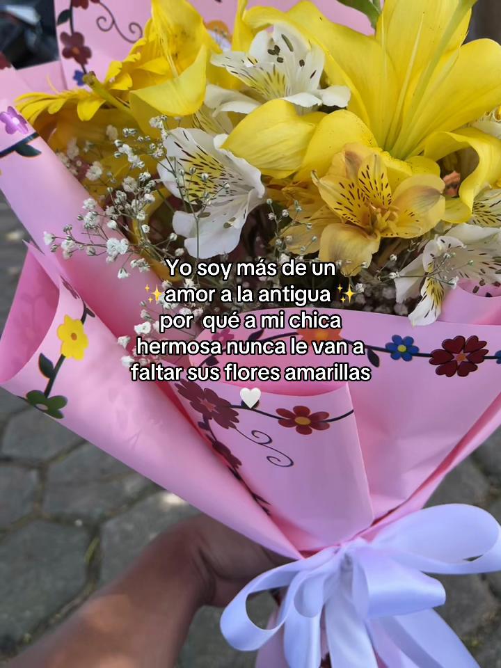 @Gisben Roses 🥀