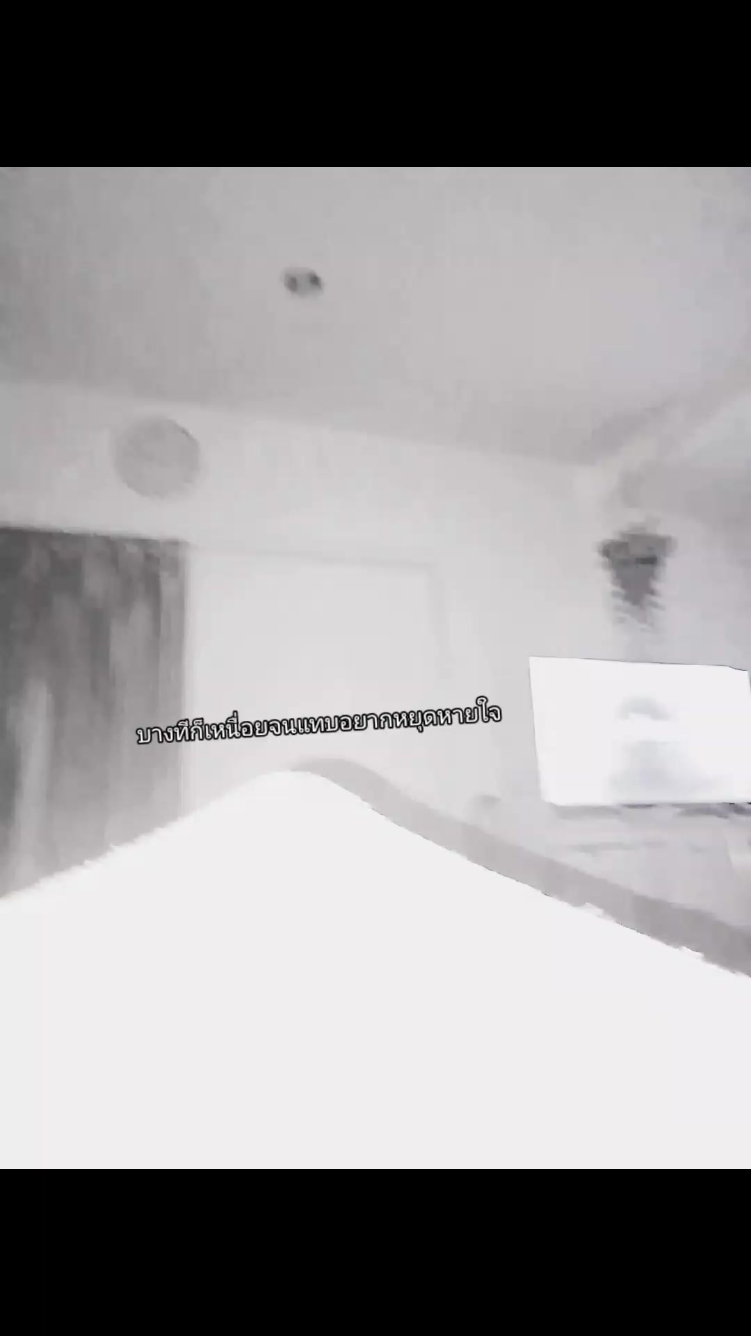 @🐈⬛.