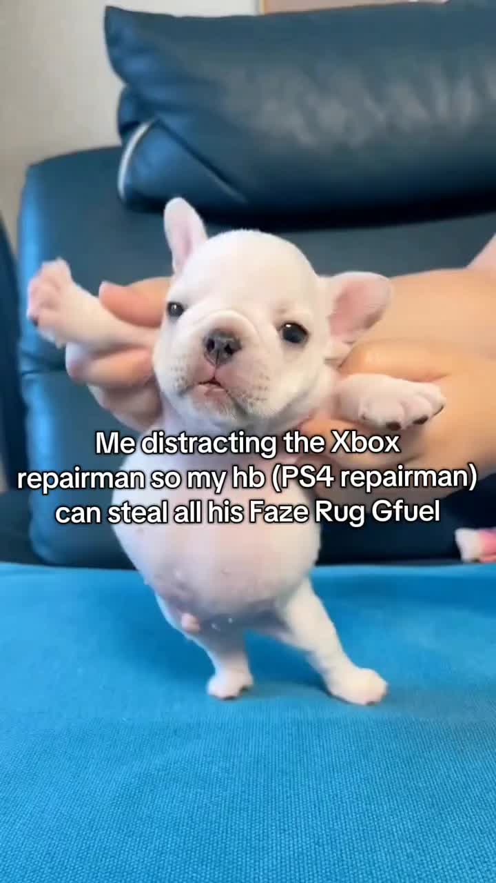 @MisterRobo