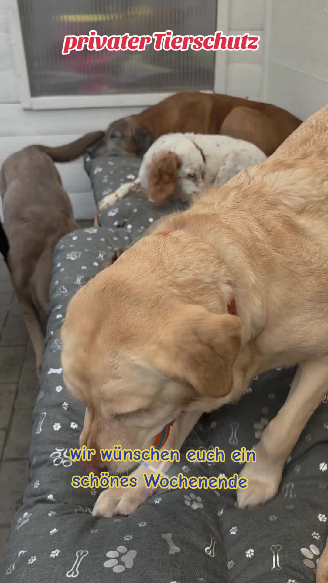 @yvonne