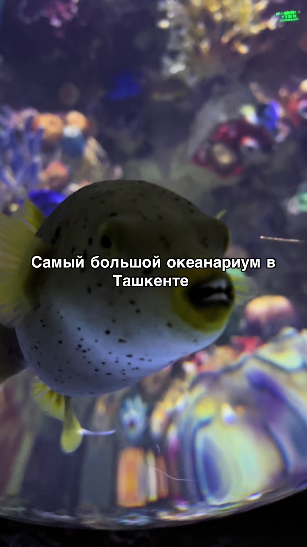 @Айнаркин
