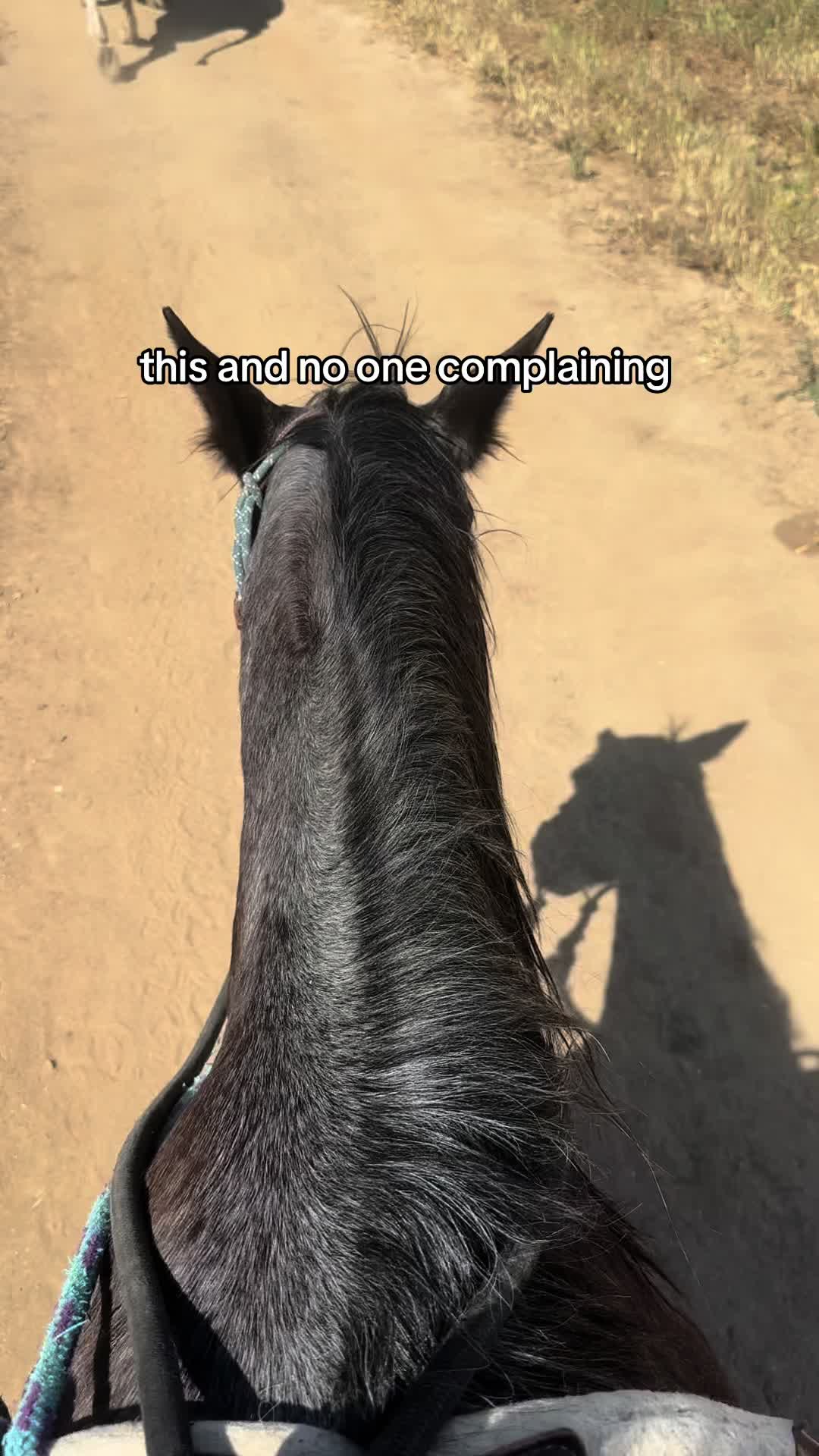 @uhhh
