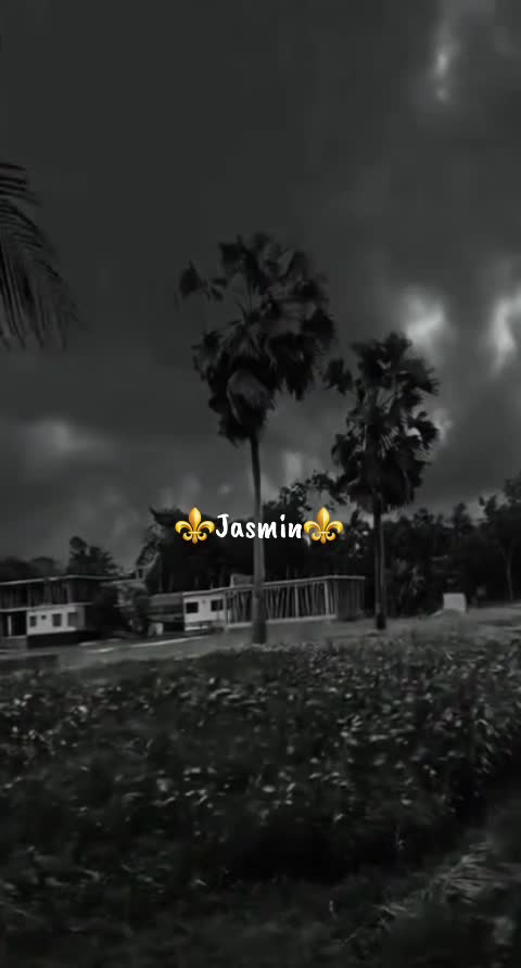 @⚜️Jasmin⚜️kralj👑