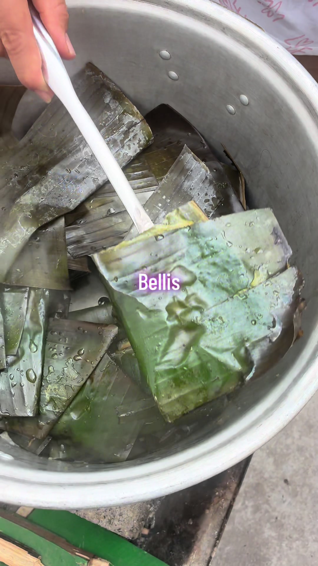 @Simplemente Bellis
