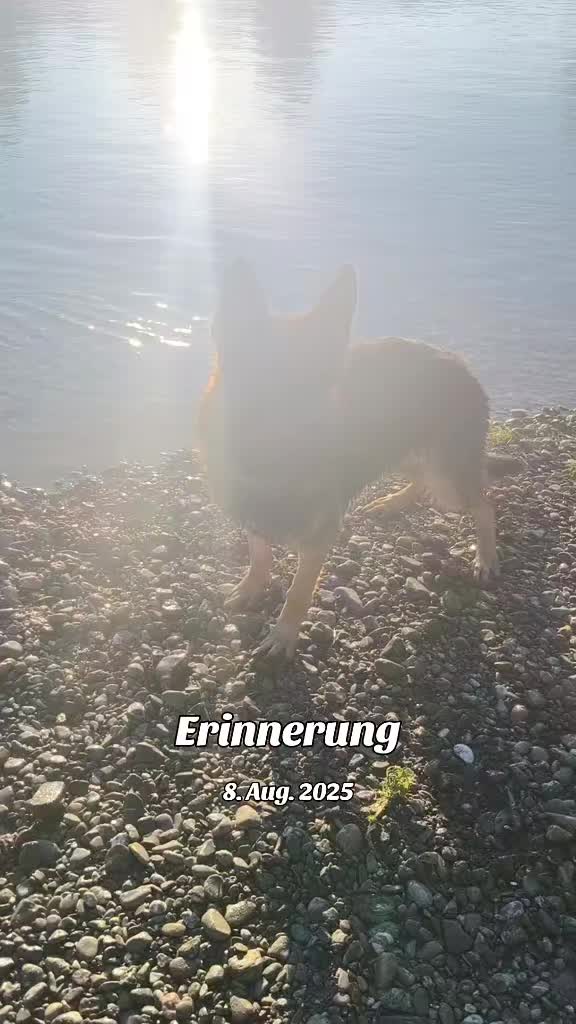 @wetterhexe