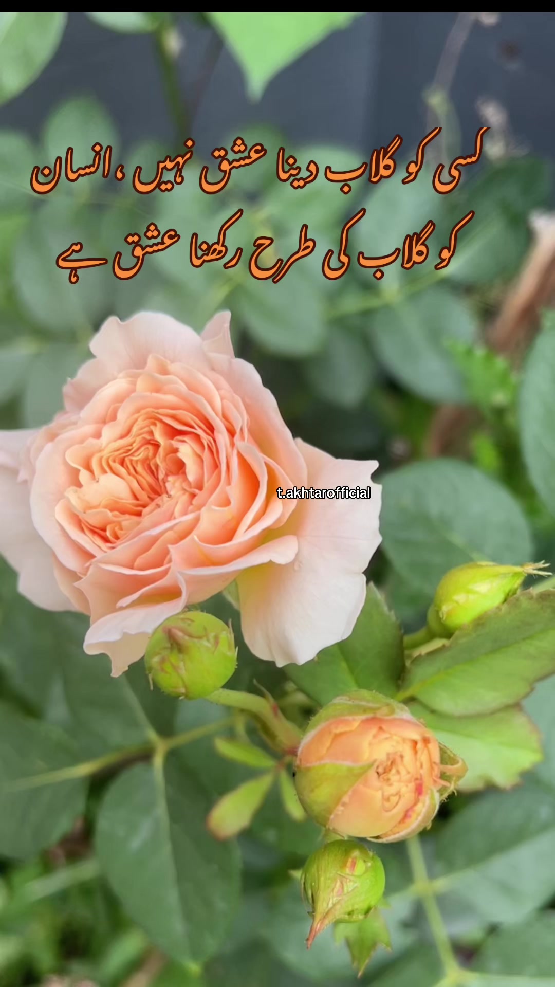 @T.Akhtar Official