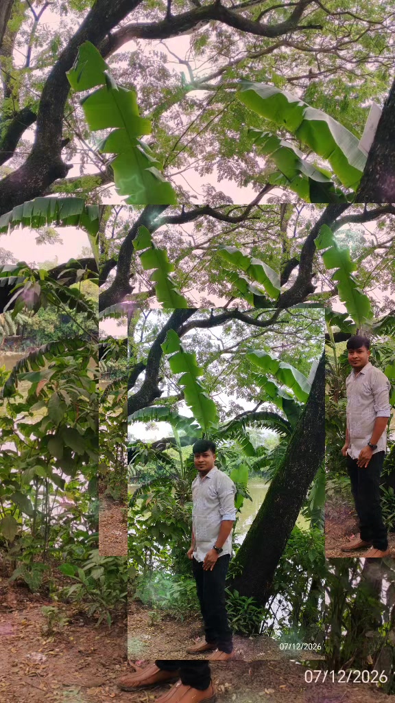 @🙏🌼🌿🌺কৃষ্ণ দেবনাথ🌺🌿🌼🙏🙏