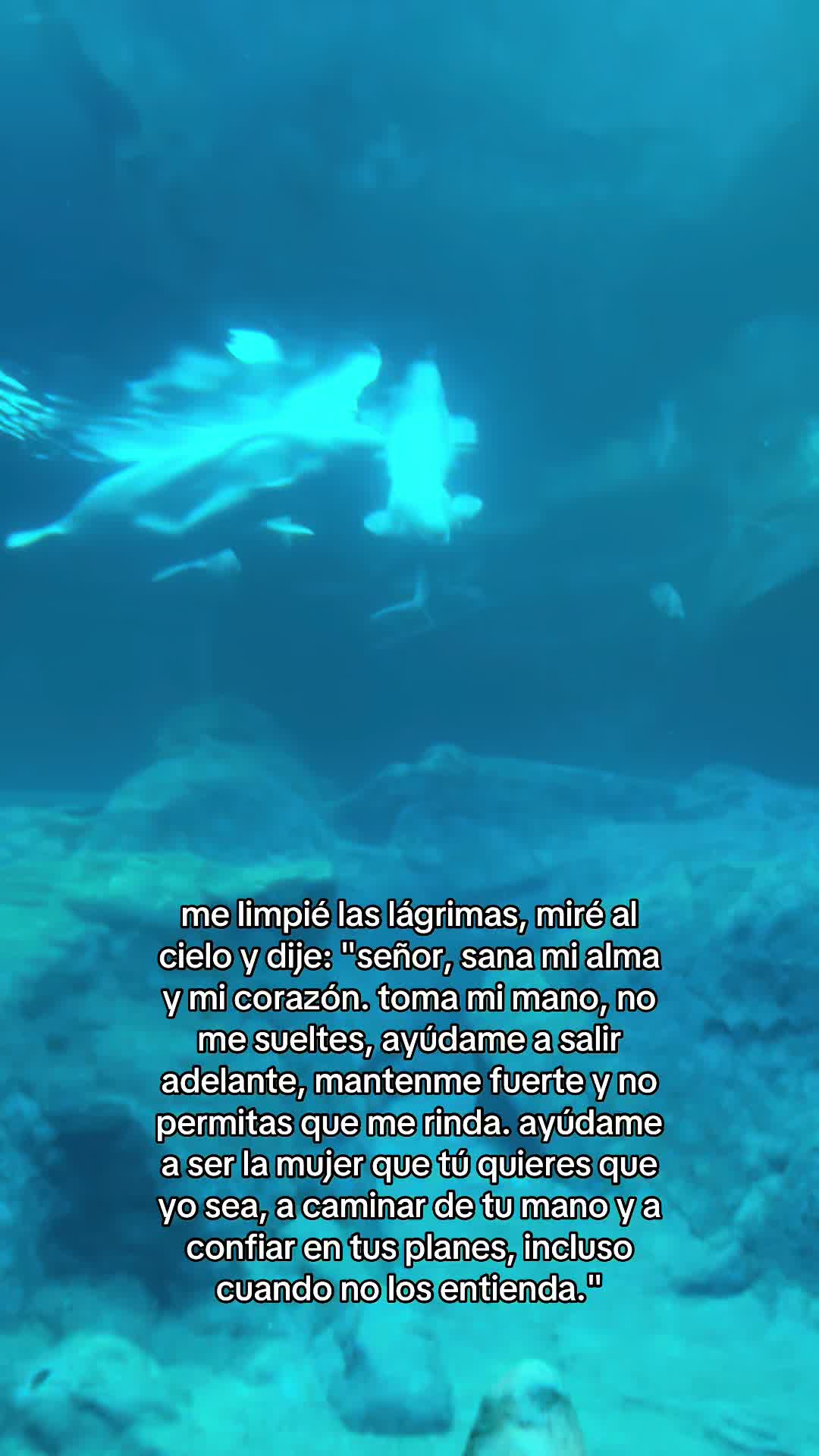 @nita ramirez ౨ৎ