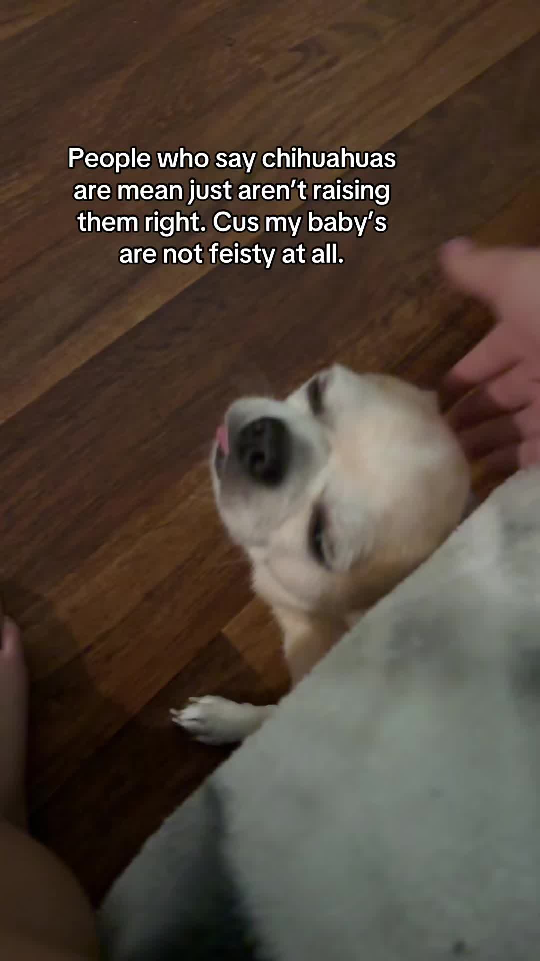 @Vox’s baby momma