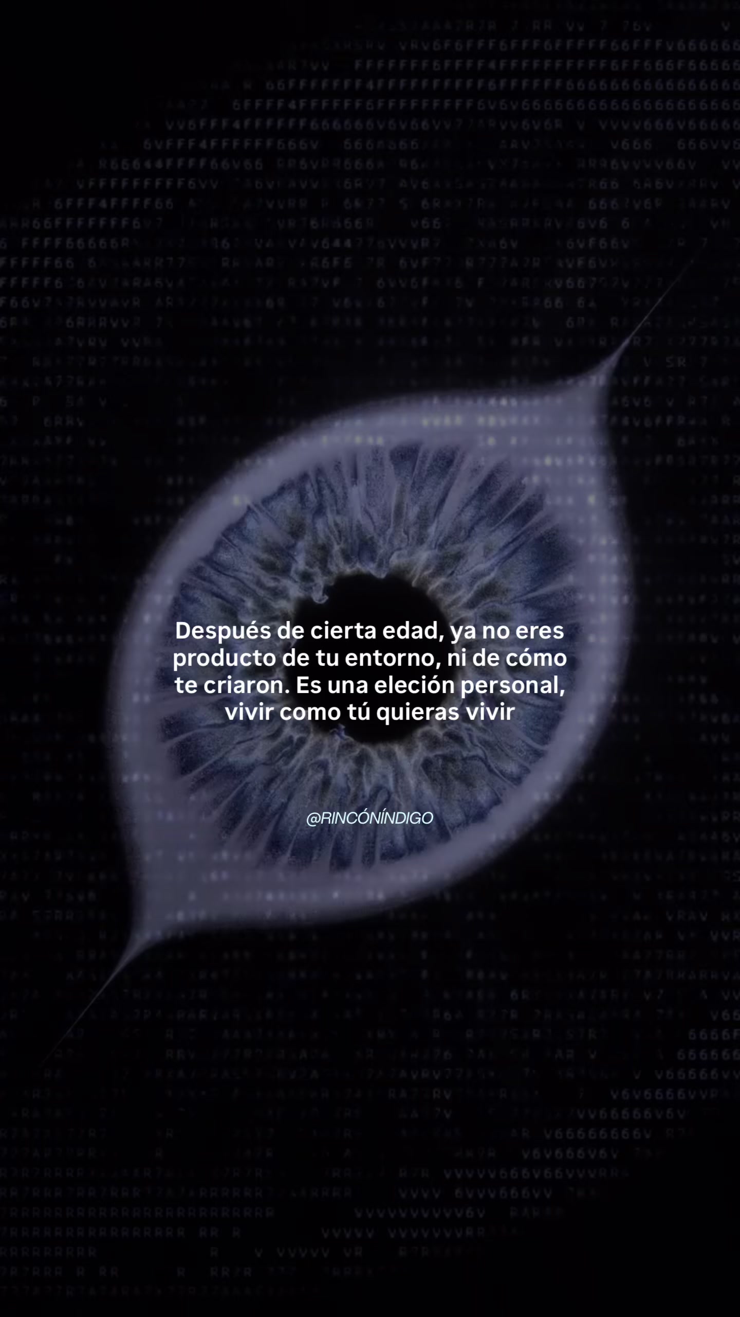 @Rincón Índigo ⋆ 𓁿 ⭒ SOFÍA